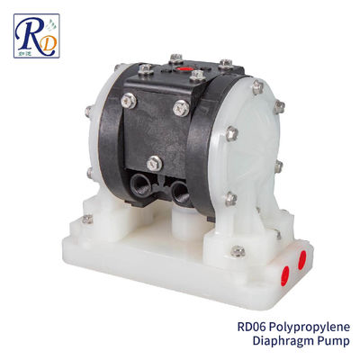 주문 RD06 작은 플라스틱 격판 펌프 태엽형 비복귀 밸브 online manufacture