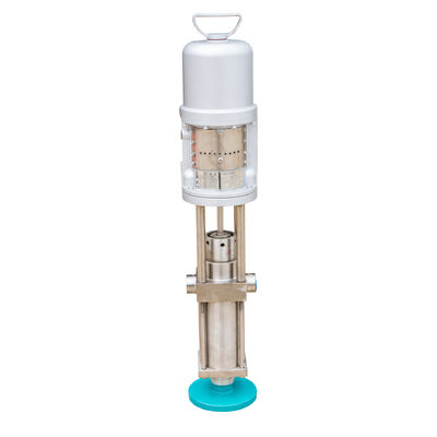 주문 RD2:1 Pneumatic Piston Pump (2:1 압력 비율) online manufacture